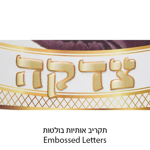 קופת צדקה פח מהודרת "הרבי מילובביץ" 10 ס"מ — תמונה 2