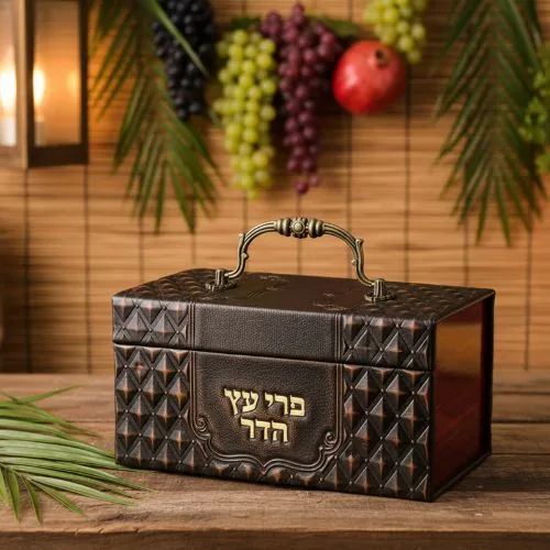 קופסא מהודרת לאתרוג דמוי עור עם ידית ומנעול 13X19 ס"מ — תמונה 2