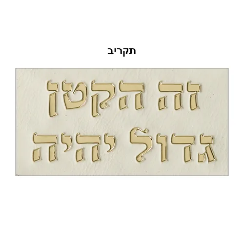 כרית מהודרת לברית דמוי עור עם אותיות בולטות 74x50 ס"מ — תמונה 2
