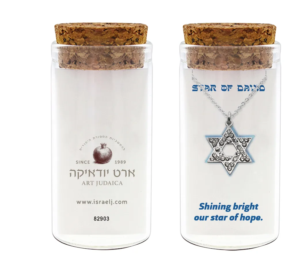 שרשרת כסף טהור 925 — תמונה 2