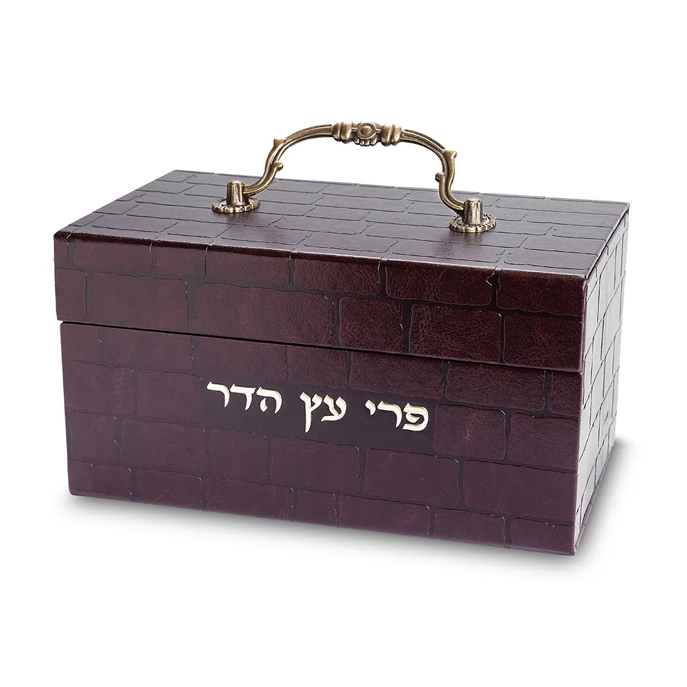 קופסא מהודרת לאתרוג דמוי עור עם ידית "כותל" 11x20x12 ס"מ