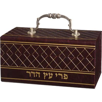 קופסא מהודרת לאתרוג דמוי עור עם ידית 13X19 ס"מ